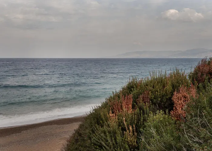 Avyra Residences Amorosa